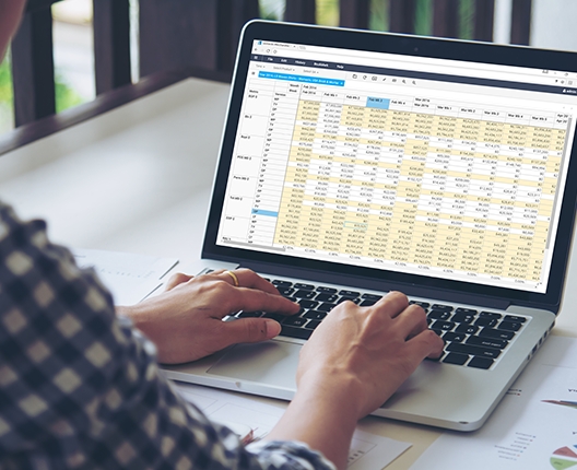 merchandise-financial-planning-screen-528×430