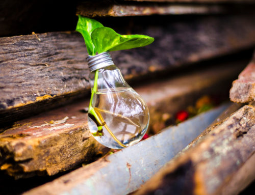 Retailers have Opportunity to Innovate, the question is how?